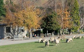 Bauchops Hill Station Farmstay